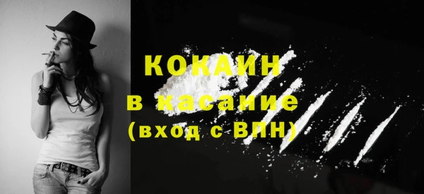 СК Алексин