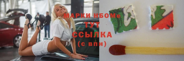 СК Алексин