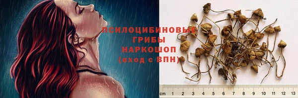 СК Алексин